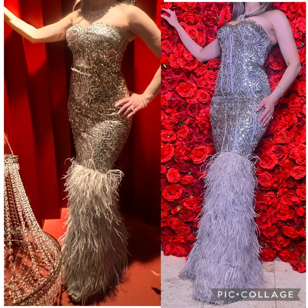 Prom / homecoming- Bebe gold label sequin & feather Silver gown